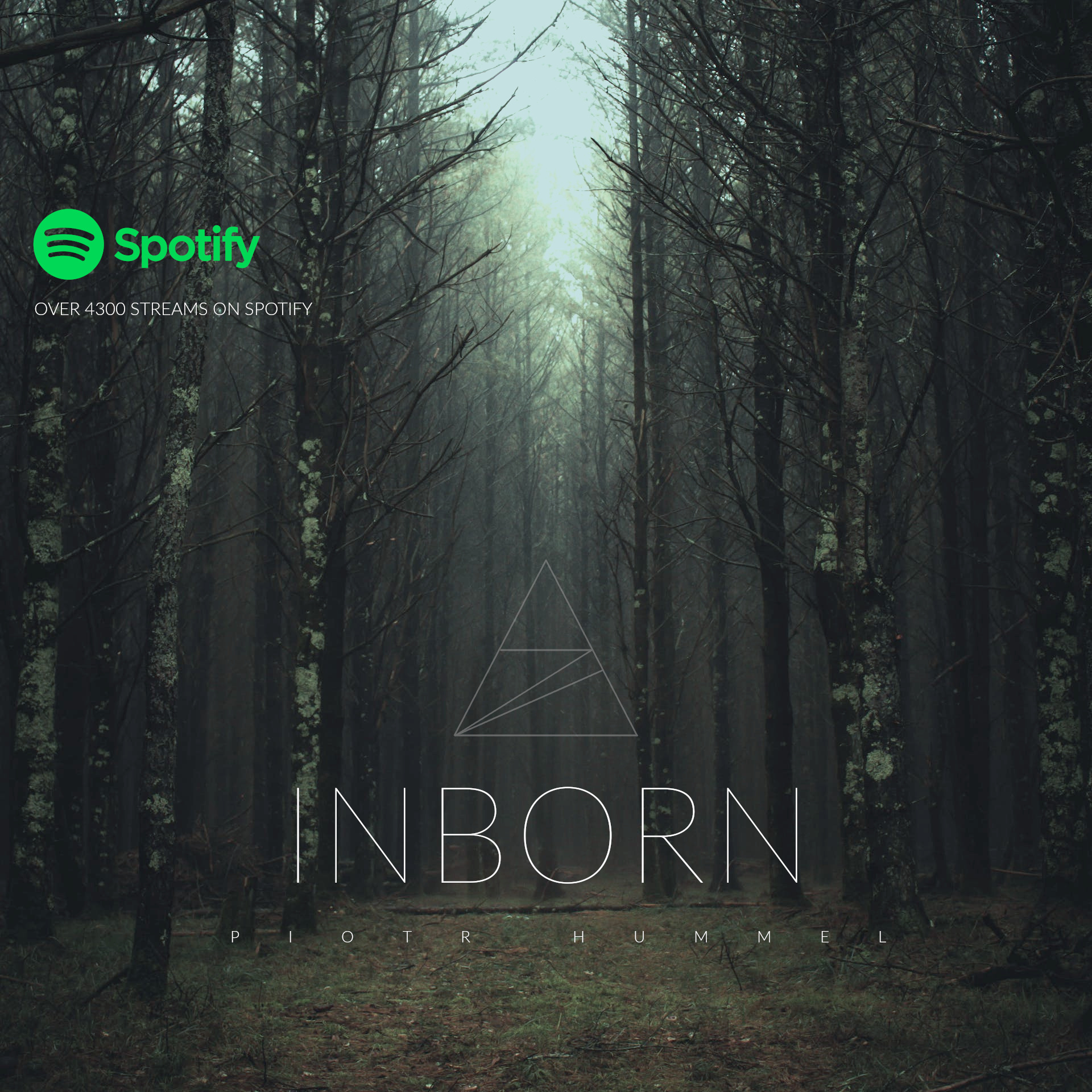 Inborn w Spotify!